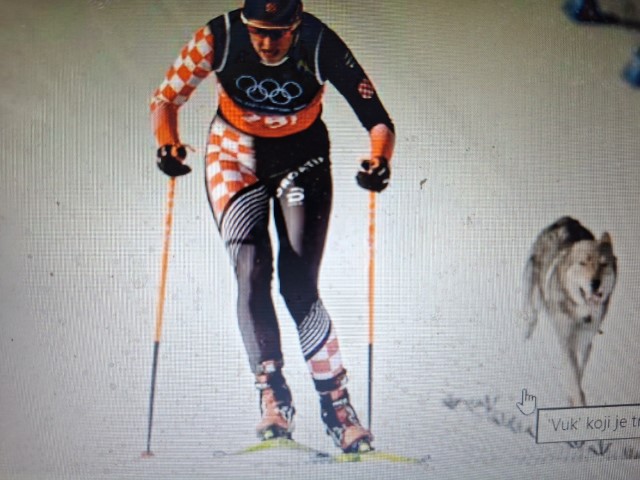 Vlasnica kazneno prijavljena jer je njezin pas Češki vučjak ugrizao dijete